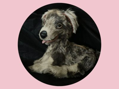 Čupřina a himálajský horyduch